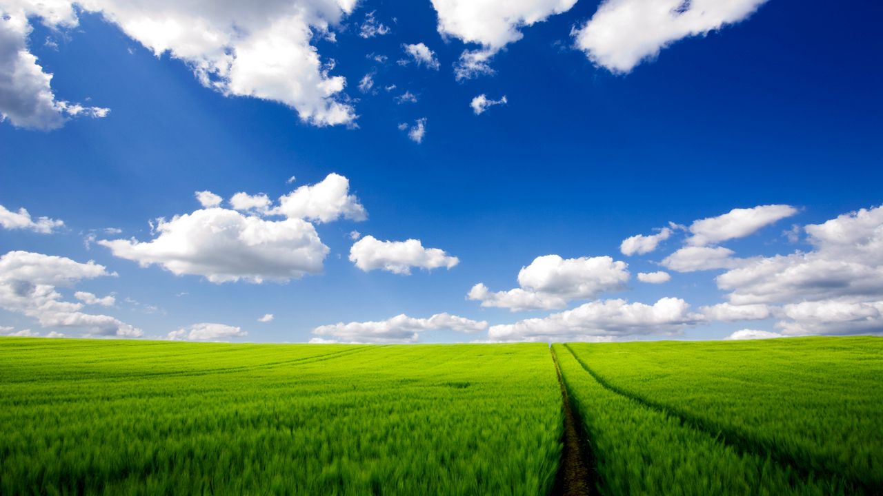 Wallpaper road, greens, grass, sky, clouds, traces