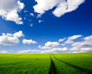 Preview wallpaper road, greens, grass, sky, clouds, traces