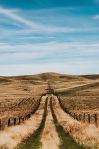 Preview wallpaper road, hills, fields, fence, landscape