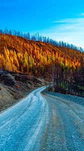 Preview wallpaper road, hills, trees, autumn, nature