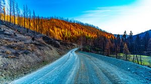 Preview wallpaper road, hills, trees, autumn, nature