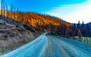 Preview wallpaper road, hills, trees, autumn, nature