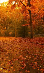 Preview wallpaper road, leaves, asphalt, after a rain, trees, wood