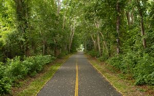 Preview wallpaper road, leaves, trees, nature