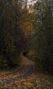 Preview wallpaper road, leaves, turn, trees, forest, autumn