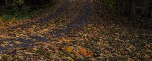 Preview wallpaper road, leaves, turn, trees, forest, autumn