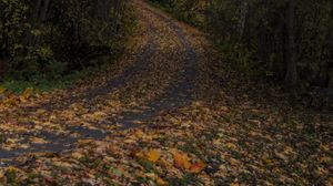 Preview wallpaper road, leaves, turn, trees, forest, autumn