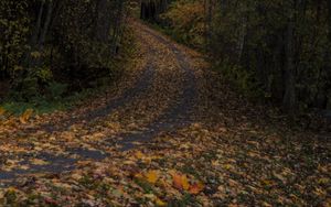 Preview wallpaper road, leaves, turn, trees, forest, autumn