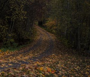 Preview wallpaper road, leaves, turn, trees, forest, autumn