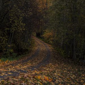 Preview wallpaper road, leaves, turn, trees, forest, autumn