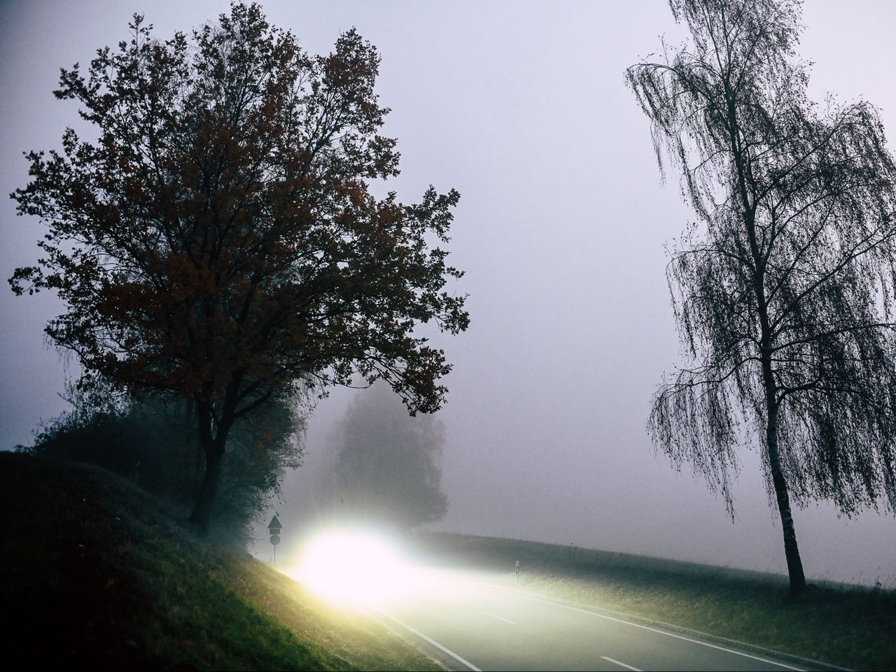 1280x960 Wallpaper road, light, fog, trees