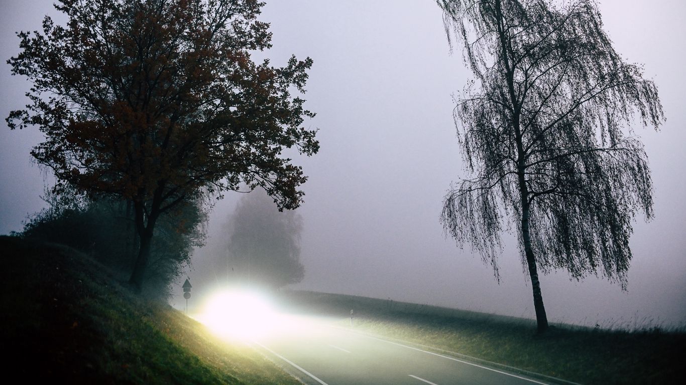 1366x768 Wallpaper road, light, fog, trees