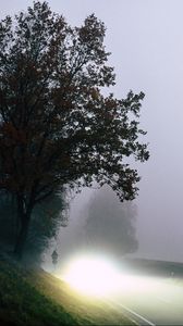 Preview wallpaper road, light, fog, trees