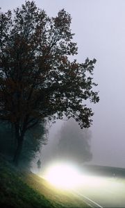 Preview wallpaper road, light, fog, trees