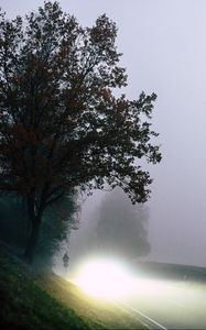 Preview wallpaper road, light, fog, trees