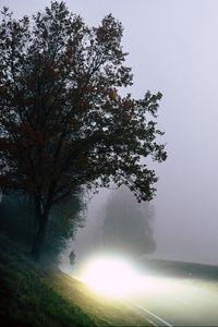 Preview wallpaper road, light, fog, trees