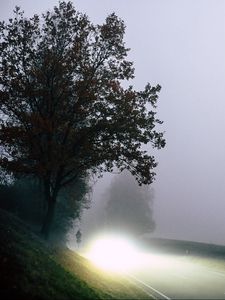 Preview wallpaper road, light, fog, trees