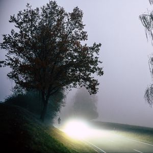 Preview wallpaper road, light, fog, trees
