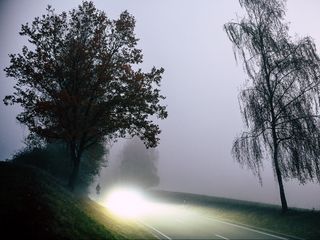 320x240 Wallpaper road, light, fog, trees