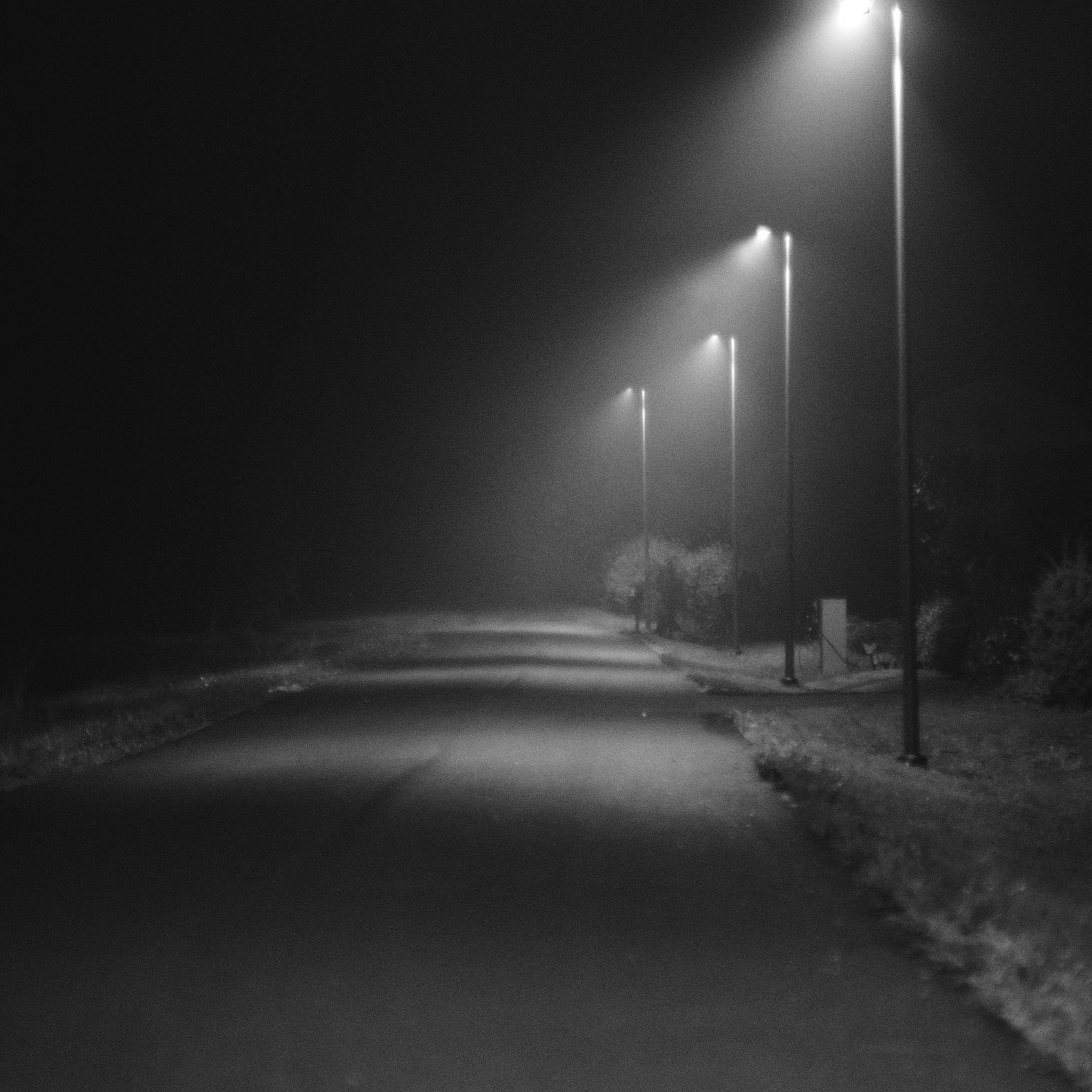 2780x2780 Wallpaper road, lights, street, dark, bw, night