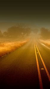 Preview wallpaper road, lines, fog, strips, uncertainty, asphalt, fields, grass, autumn