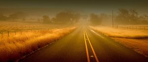 Preview wallpaper road, lines, fog, strips, uncertainty, asphalt, fields, grass, autumn