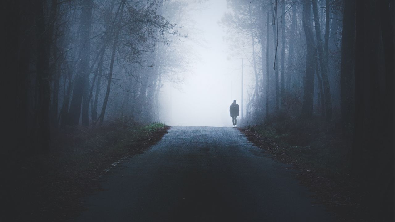 Wallpaper road, man, silhouette, fog, forest