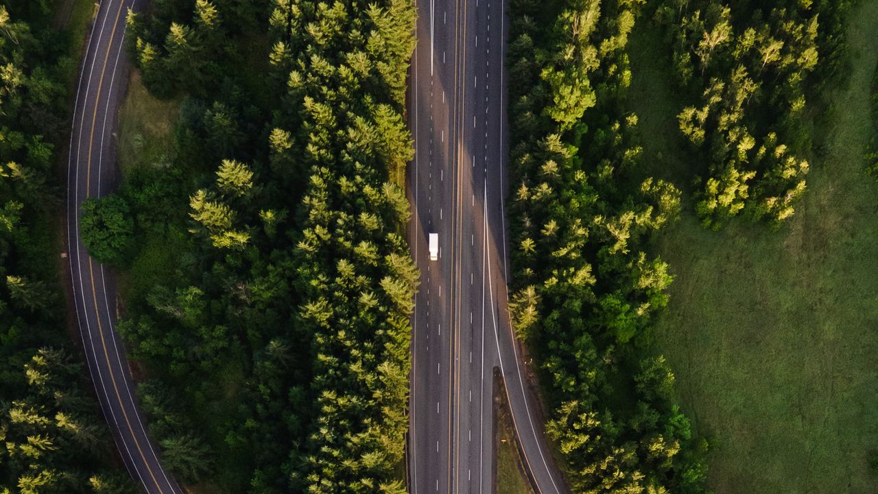 Wallpaper road, marking, aerial view, trees, forest