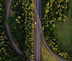 Preview wallpaper road, marking, aerial view, trees, forest