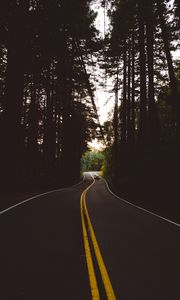Preview wallpaper road, marking, auto, forest, trees, evening