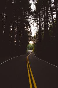 Preview wallpaper road, marking, auto, forest, trees, evening