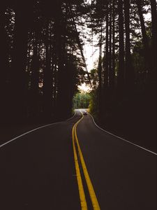 Preview wallpaper road, marking, auto, forest, trees, evening