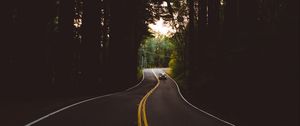 Preview wallpaper road, marking, auto, forest, trees, evening