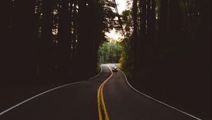 Preview wallpaper road, marking, auto, forest, trees, evening