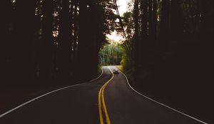 Preview wallpaper road, marking, auto, forest, trees, evening