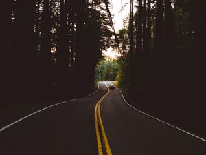 Preview wallpaper road, marking, auto, forest, trees, evening