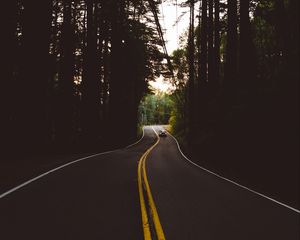 Preview wallpaper road, marking, auto, forest, trees, evening