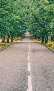 Preview wallpaper road, marking, autumn, trees