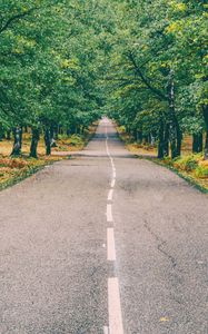 Preview wallpaper road, marking, autumn, trees