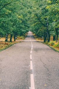 Preview wallpaper road, marking, autumn, trees