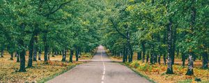 Preview wallpaper road, marking, autumn, trees