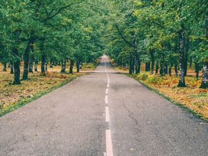 Preview wallpaper road, marking, autumn, trees