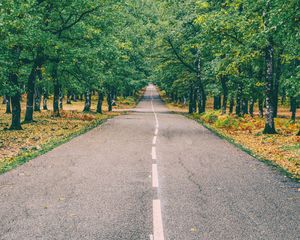 Preview wallpaper road, marking, autumn, trees