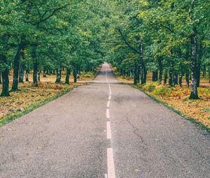 Preview wallpaper road, marking, autumn, trees