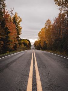 Preview wallpaper road, marking, autumn