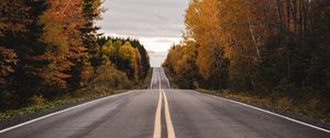 Preview wallpaper road, marking, autumn
