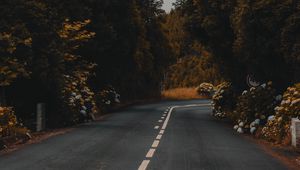 Preview wallpaper road, marking, bushes, flowers