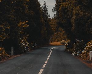 Preview wallpaper road, marking, bushes, flowers