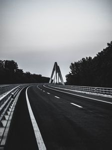 Preview wallpaper road, marking, bw, trees