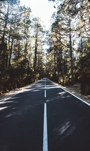 Preview wallpaper road, marking, distance, trees, forest